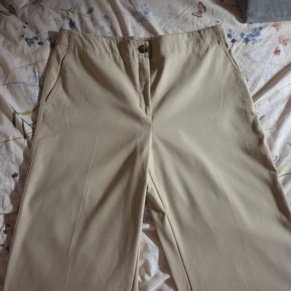 Ann Taylor Tan Pants - Picture 2 of 6